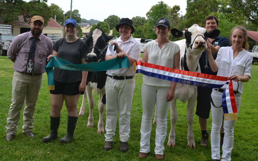 FAMILY TIES: Luke Whatman, leading Sunnyview Sheikh Mald was reserve senior champion at the South Coast and Tablelands Holstein Association Spring Heifer Classic, while his older sister Jade claimed champion with Strongbark Byway Candy, which went on to be reserve grand champion. Luke and Jade are pictured with their sisters Ellie and Hannah, along with judge Pat Buckley (left) and Jared Cochrane, of Raine and Horne Nowra.