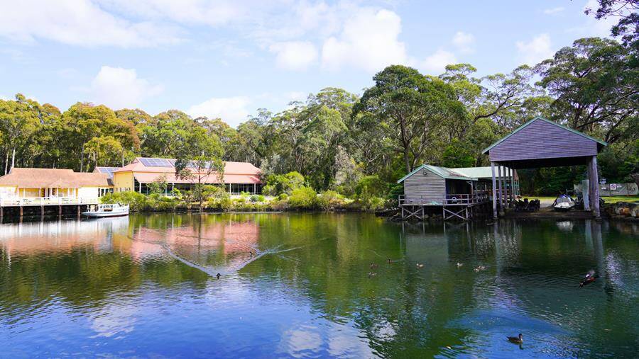 Public submissions are now open for the Lady Denman Reserve Plan of Management. Shoalhaven City Council wants to encourage more people into public space at Huskisson. Picture supplied.