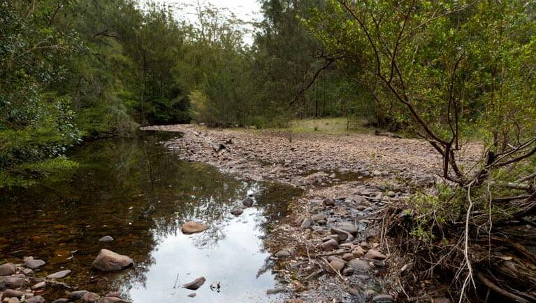 Creeks at the Long Gully picnic area. Picture: Supplied. 