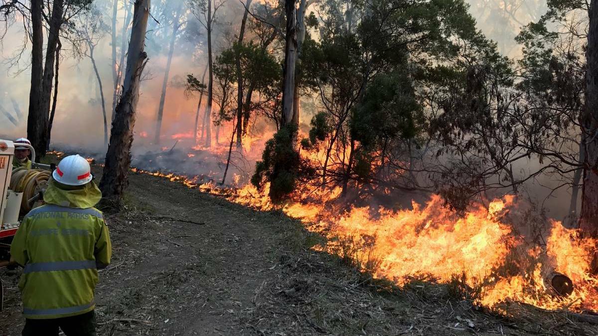 The National Parks and Wildlife Service is due to start a hazard reduction burn in the Jervis Bay National Park today. Picture supplied.