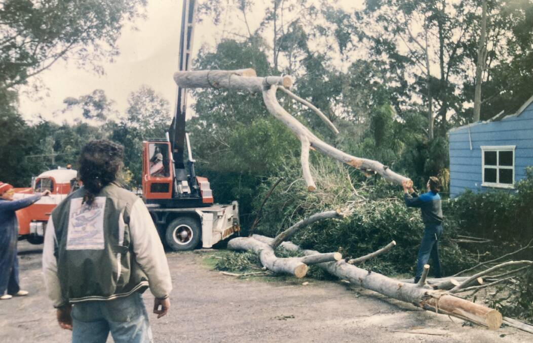 Trees that were small and not dangerous when they were inspected by Shoalhaven Council staff had grown significantly by the time they fell of Gary and Shelli Cotton's home. Picture supplied.