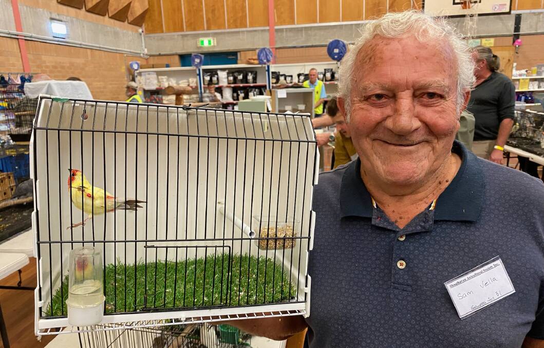 Sam Vella from just outside Sydney was selling his pied parrot finches during Sunday's annual bird sale. Picture by Glenn Ellard.