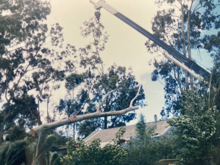 Cary Cotton says Shoalhaven Council's 45-degree tree control rule would have helped prevent damage to his Tomerong home. Instead, he needed a crane to remove fallen trees from his roof. Picture supplied.