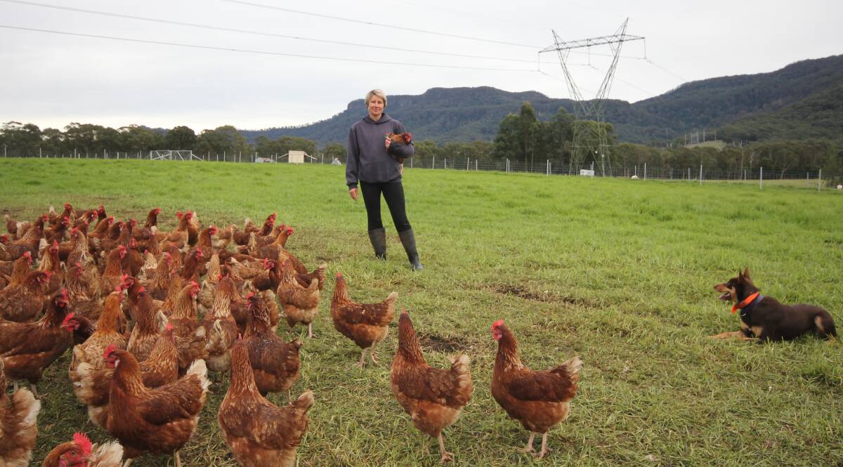 Kangaroo Valley Pastured Egg farmer Kristen McLennan at their Kangaroo Valley farm. Picture by Holly McGuinness