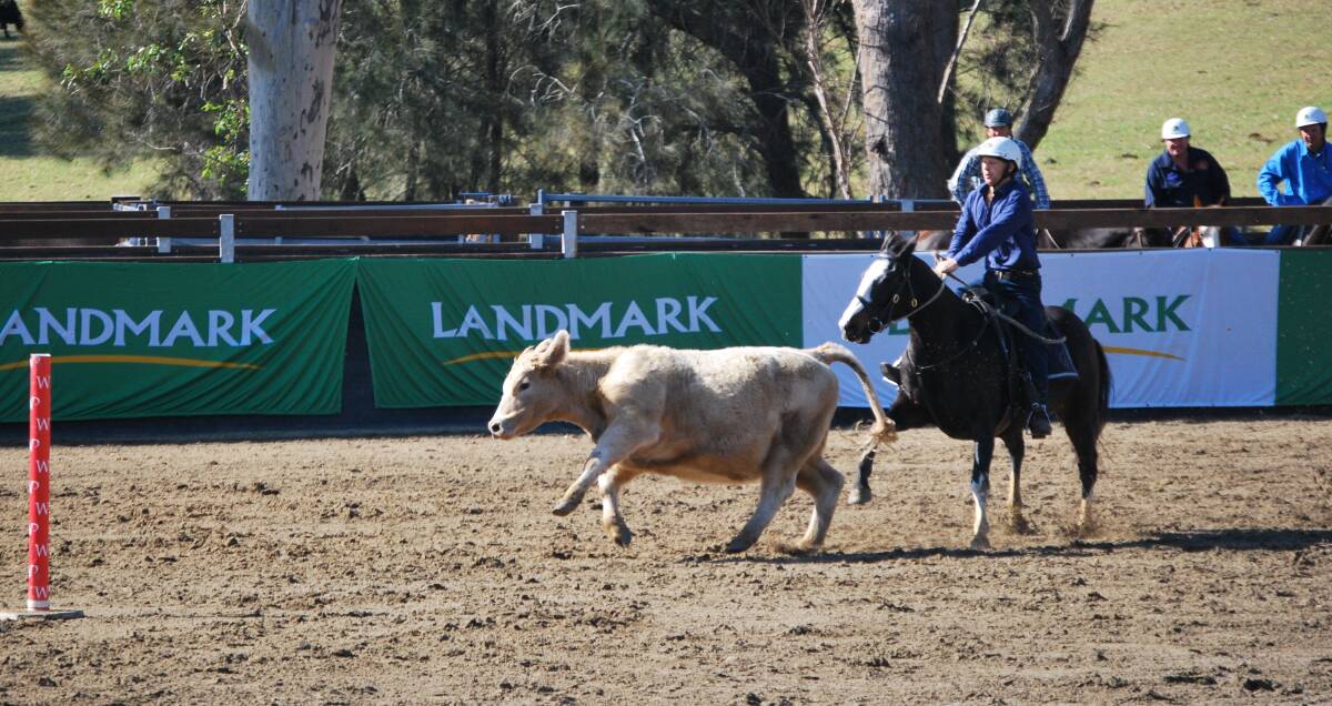 Pete Comiskey wins world’s richest campdraft at Willinga Park South
