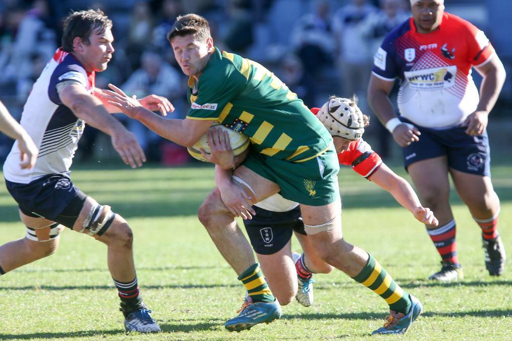 Tom Horton and Shoalhaven are preparing to face a disciplined University forward pack on Saturday. Photo: Adam McLean.