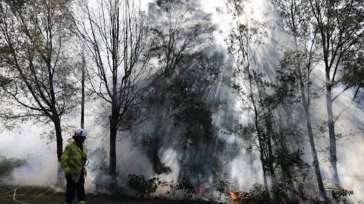 Hazard reduction burn near Shoalhaven Heads