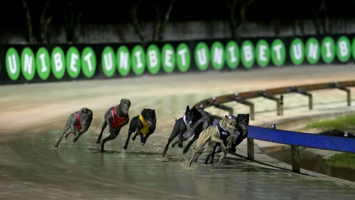 Greyhound NSW announces 10 regional greyhound racing tracks will remain