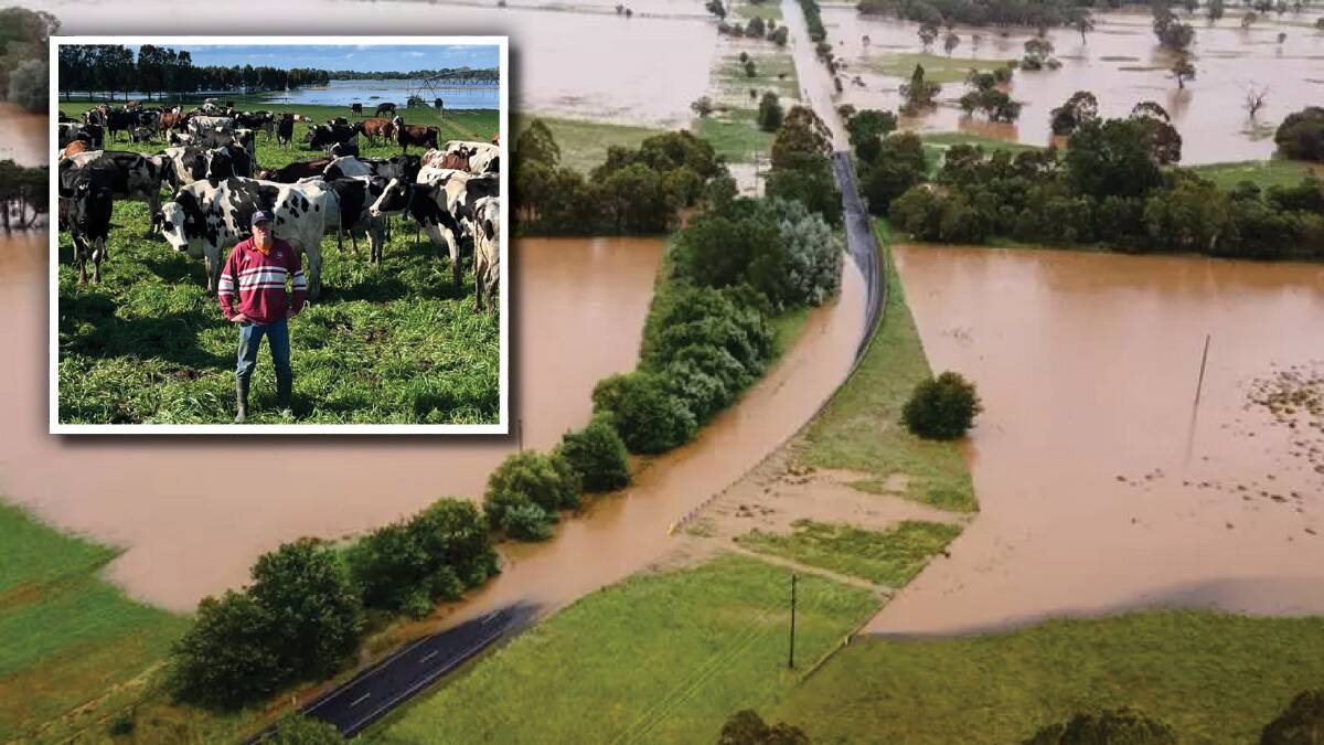 The Shoalhaven in the wake of November 2023 flooding and, inset, Nowra dairy farmer Tim Cochrane on his drenched paddocks.
