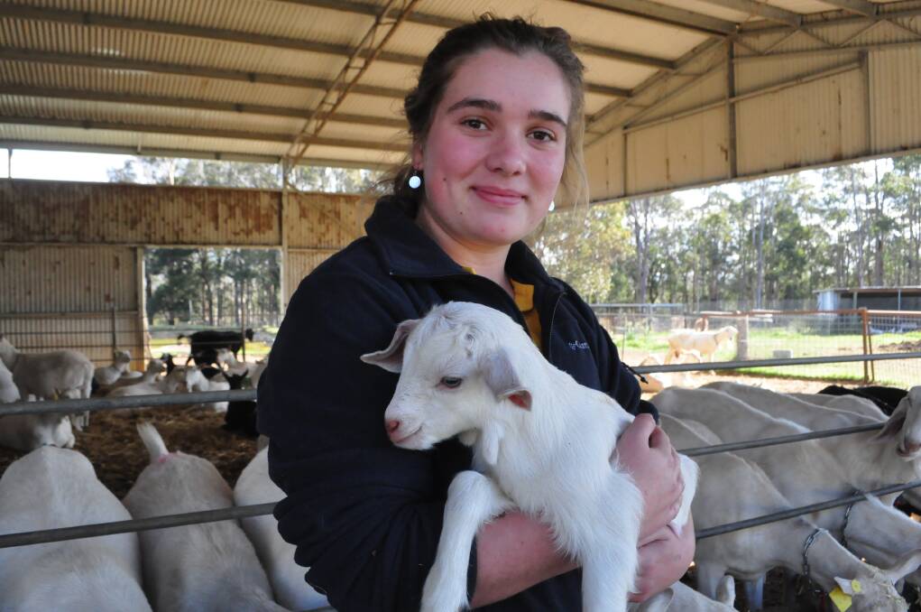 Erin Martin's adopt a goat program
